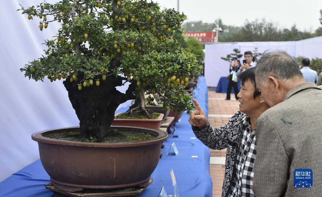 汇金娱乐棋牌